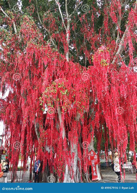 Sekinchan Wishing Or Hope Tree In Pantai Redang Is Popular Tourist ...