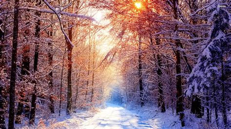 Winter Landscape Wallpapers - Wallpaper Cave