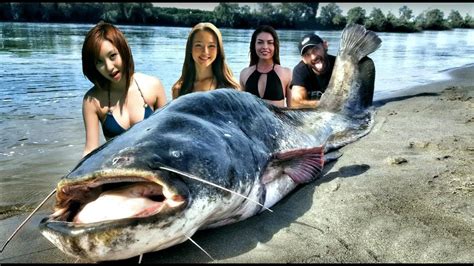 MONSTER CATFISH 265 POUND BIGGEST FISH EVER CAUGHT ON TAPE - HD by ...