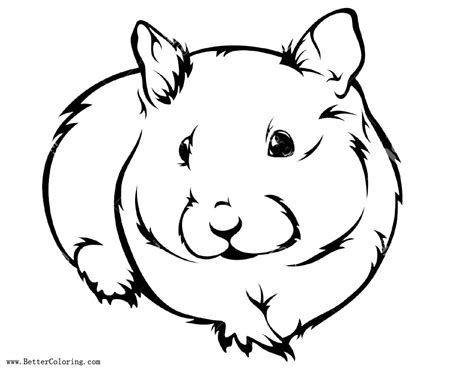 Hamster Coloring Pages Realistic Drawing - Free Printable Coloring Pages