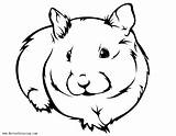 Hamster Coloring Pages Realistic Drawing  Free Printable sketch template
