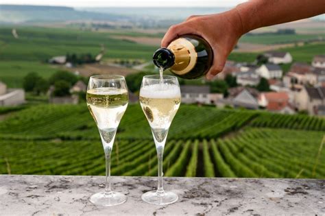 5 Best Champagne Tours from Paris in 2024 (+ Insider Tips!)