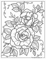 Coloring Rose Pages Roses Printable Kids Rosa Pintar Colouring Per  sketch template