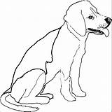 Printable Realistic Dog Coloring Pages sketch template