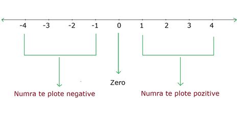 Numrat e Thjeshte | Matematika | Detyra.Al