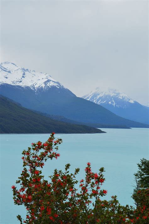 Glaciers in Patagonia Might Make Cool Photos, But Here is What’s Happening » Whalebone