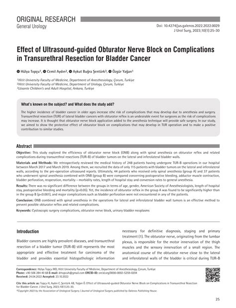 (PDF) Effect of Ultrasound-guided Obturator Nerve Block on ...