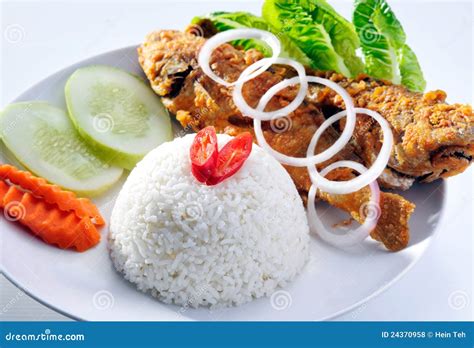 Fried fish with rice stock photo. Image of edible, crispy - 24370958