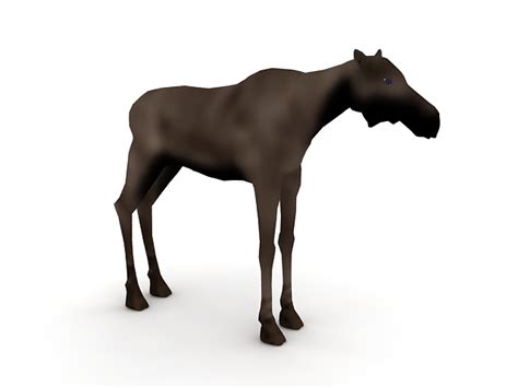 Female moose 3d model 3ds max files free download - CadNav