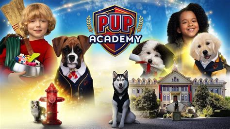 Pup Academy Wallpapers - Wallpaper Cave