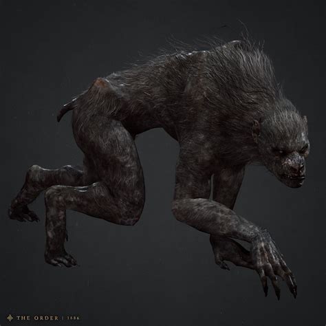 502 Bad Gateway | Werewolf, Beast creature, Werewolf art