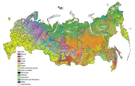 Natural Agro resources Russia : r/MapPorn