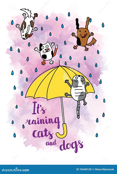 Raining Cats And Dogs Royalty-Free Stock Photo | CartoonDealer.com #8444787