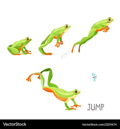 Frog jumping sequence cartoon Royalty Free Vector Image