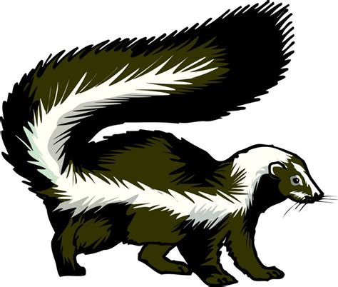 Free Baby Skunk Cliparts, Download Free Baby Skunk Cliparts png images, Free ClipArts on Clipart ...