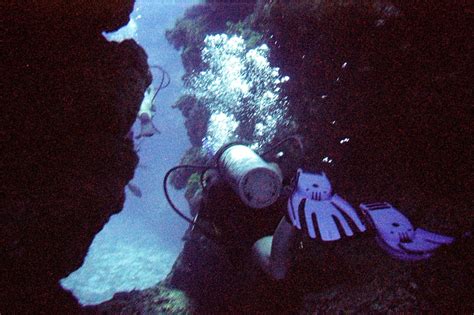 Me - Diving "The Chimney" Ambergris Caye, Belize | Belize, Ambergris ...