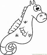 Mystery The Seahorse Coloring Page  Free SpongeBob SquarePants sketch template