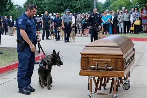 Unbreakable Loyalty: Heartbreaking Farewell as Devoted Dog Watches Over ...