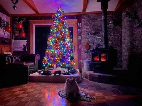 Cozy Christmas Living Room : r/CozyPlaces