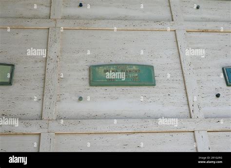 Los Angeles, California, USA 12th May 2023 Actress Selma Diamond Grave in Courts of the Book at ...