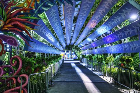 2018-10-18 GARDENS BY THE BAY NIGHT TOUR - heyyouphoto.com