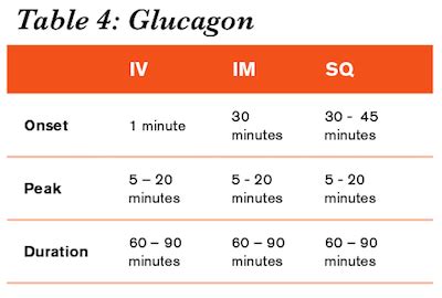 Glucagon For Food Bolus - Paling Baru Food Bolus Definition - Alexandra ...