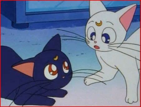 Luna & Artemis » PrincessSerenity.net | Sailor moon, Luna and artemis ...