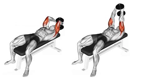 Ultimate Guide To Dumbbell Overhead Tricep Extensions