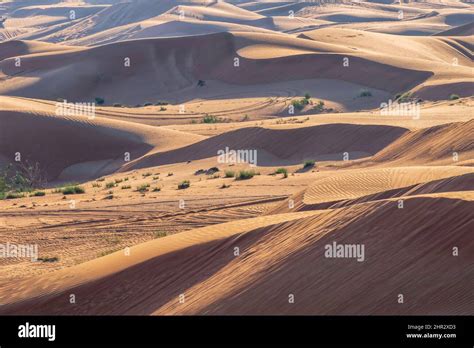 Sand dunes of the Arabian desert. Abu Dhabi, United Arab Emirates Stock ...