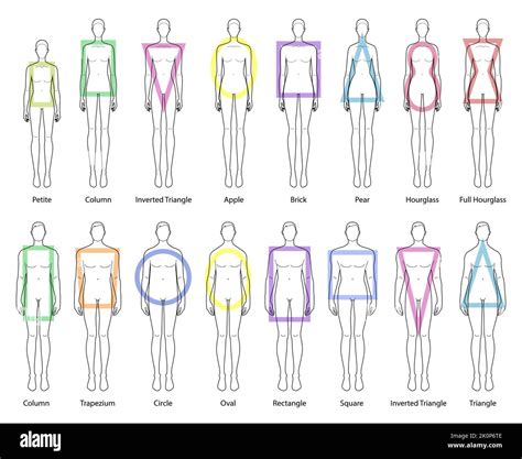 Set of Women and Men body shapes types: apple, pear, inverted triangle, rectangle, column ...