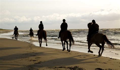 horse-riding-beach-cumbria-lake-district-herdwicks-hotel - HerdwickS