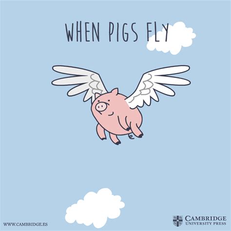 When pigs fly - Blog Cambridge