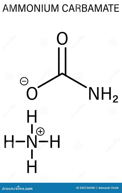 Ammonium Carbamate, Chemical Structure. Skeletal Formula. Vector Illustration | CartoonDealer ...