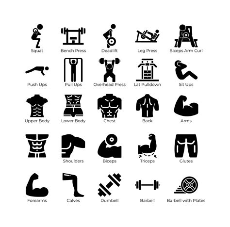 Different Types of Gym Equipment