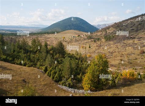 Montenegro, Durmitor National Park, countryside near Žabljak Stock Photo - Alamy