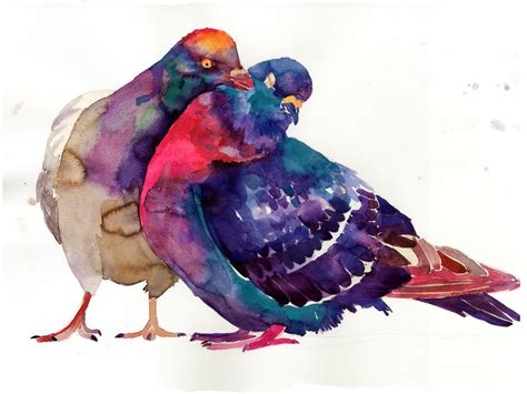 Pigeon Watercolor at PaintingValley.com | Explore collection of Pigeon ...