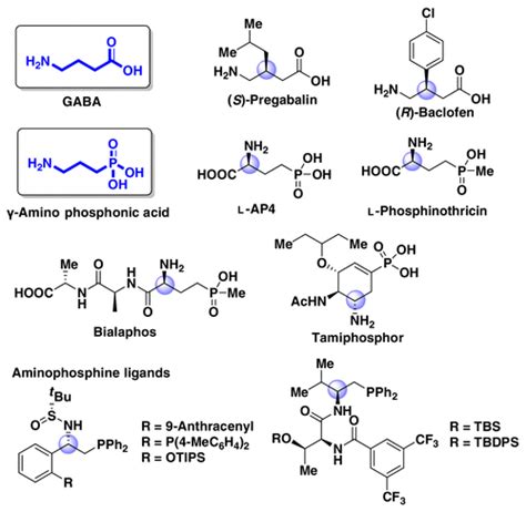 Asymmetric Access of γ-Amino Acids and γ-Amino Phosphonic Acid Derivatives via Copper-Catalyzed ...