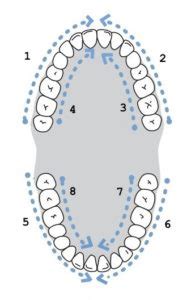 Waterpik vs Flossing: Which is better? | The Toothsayer