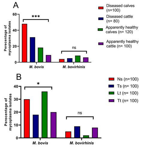 Prevalence of M. bovis and M. bovirhinis isolates in various samples’... | Download Scientific ...