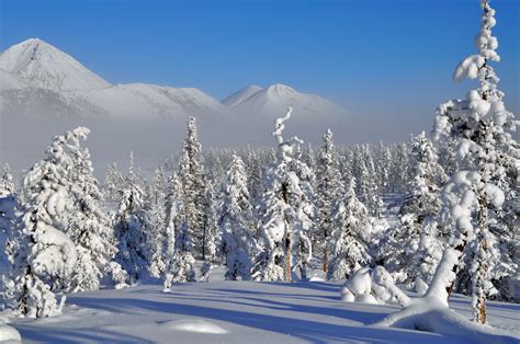 Yakutia Tour - Discover the Ultimate Winter Wonderland