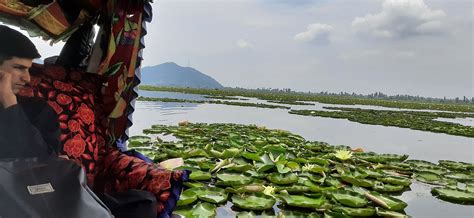 Dal Lake Kashmir - Free photo on Pixabay - Pixabay