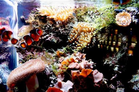 Atlantic City Aquarium Reviews | U.S. News Travel