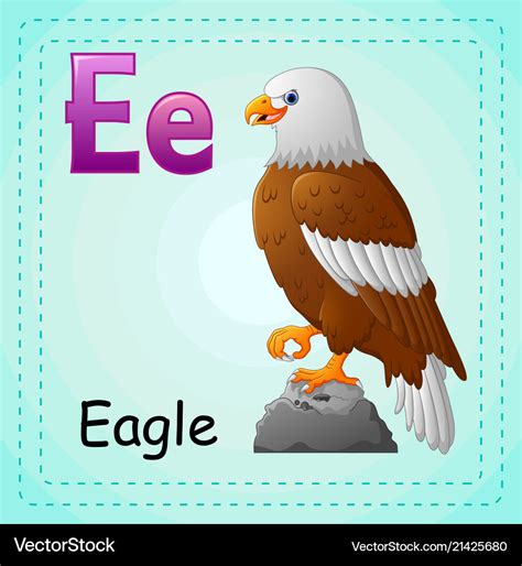 Animals alphabet e is for eagle Royalty Free Vector Image