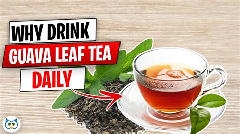 12 Amazing Benefits of Guava Leaf Tea You Are Unaware of - YouTube