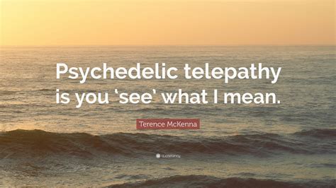 Terence McKenna Quote: “Psychedelic telepathy is you ‘see’ what I mean.”