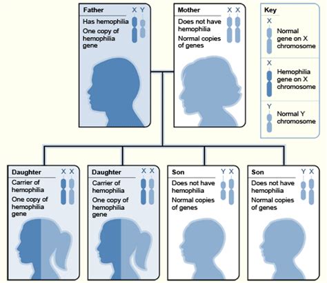 Difference Between Genetic and Hereditary Diseases | Definition, Types ...