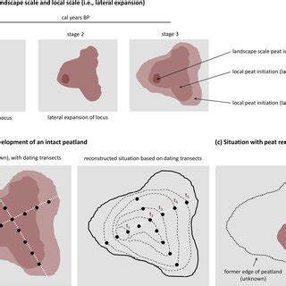 Conceptual illustration of peat initiation and lateral expansion of... | Download Scientific Diagram