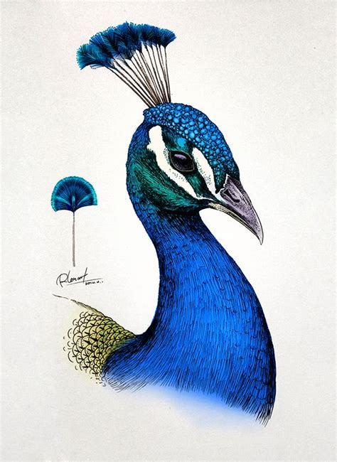 Hand painted peacocks, computer color, practice works | Peacock wall art, Animal illustration ...