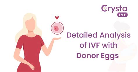 Success Rate Of IVF With Donor Eggs In India - Crysta IVF