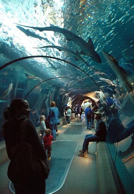 Newport Aquarium, Oregon. | My home state...OREGON! | Pinterest